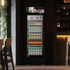 Chic Glass Door Cooler with LED Glow