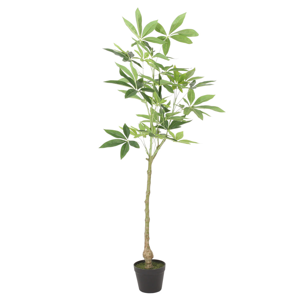 Stylish Faux Pachira Plant