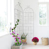 Charming Creamy Climbing Plant Trellis Set