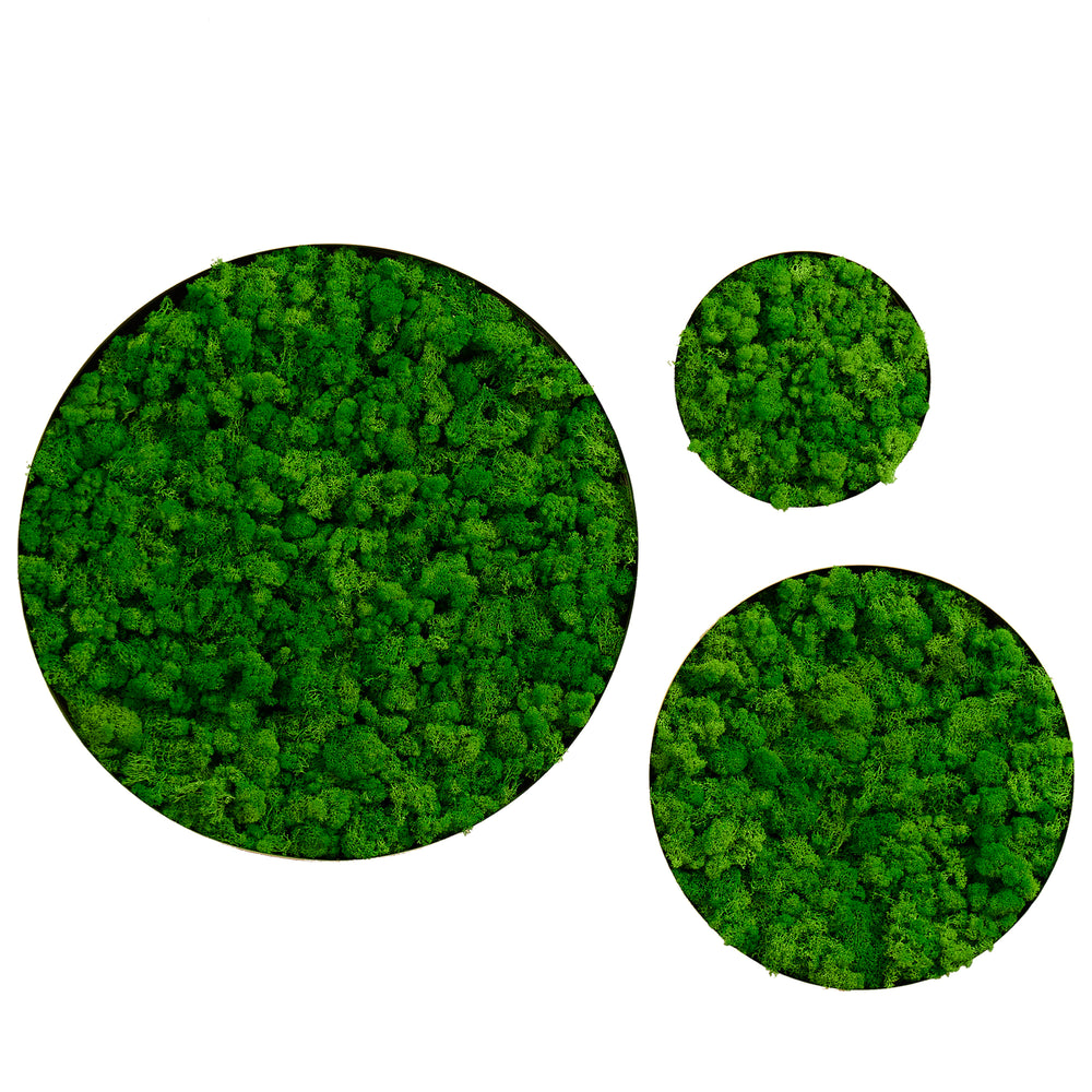 Charming Round Moss Wall Art Set