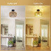 Woven Rattan Ceiling Charm