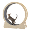 Purr-fect Cat Treadmill - Fun & Safe Exercise Wheel