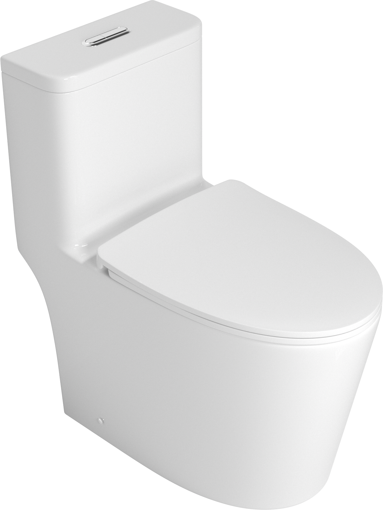 Premium One-Piece Toilet with Top Accessories