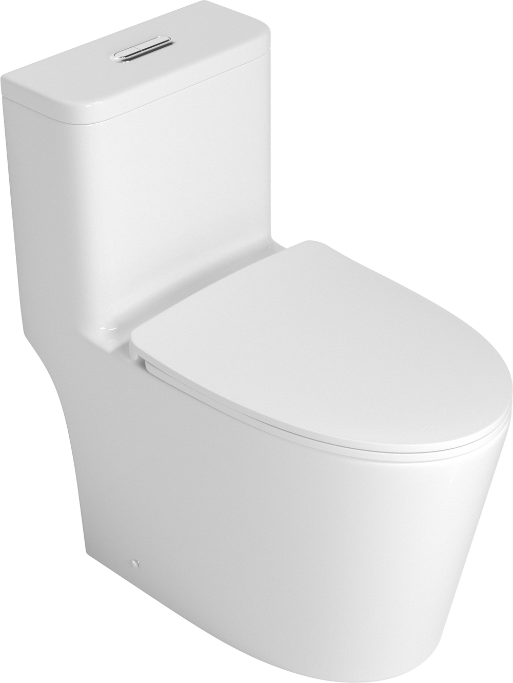 Premium One-Piece Toilet with Top Accessories