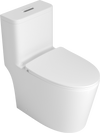 Premium One-Piece Toilet with Top Accessories