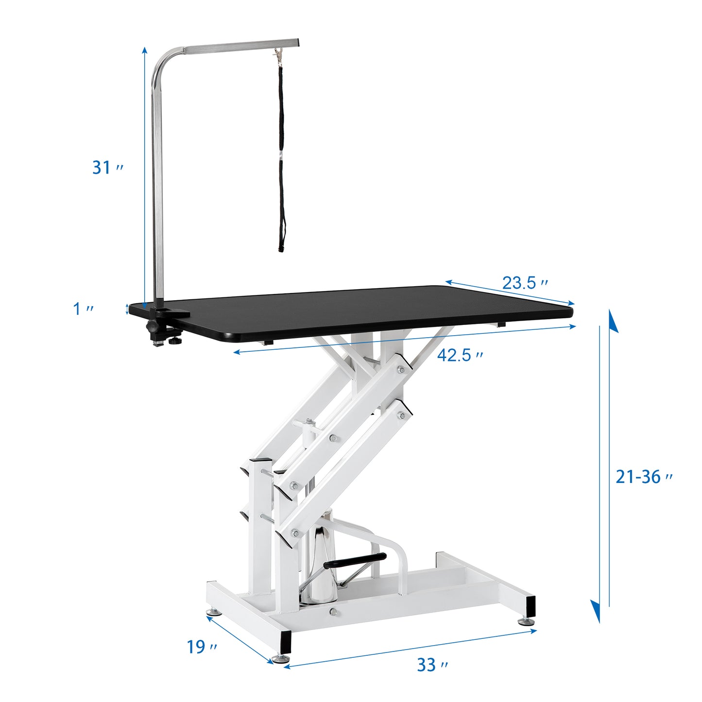 Grooming Made Easy: Heavy-Duty Hydraulic Dog Table