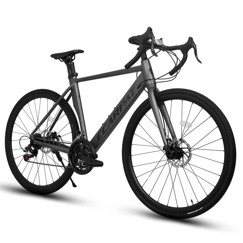 Aluminum Adventure: Dual-Disc Road Bike for All