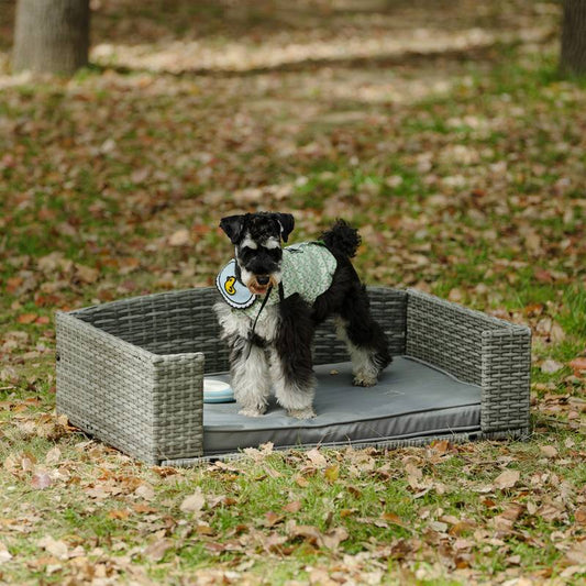 Cozy Pet Oasis