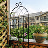 Climb & Shine Trellis Set