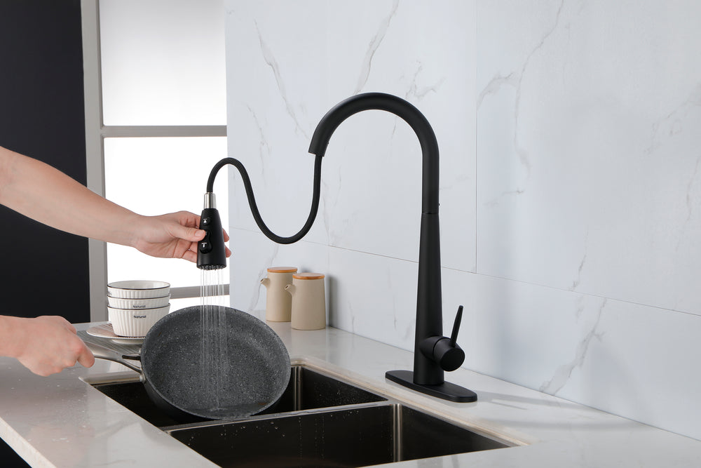 Matte Black Pull Down Kitchen Faucet