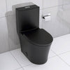 Sleek Black Eco-Friendly Toilet