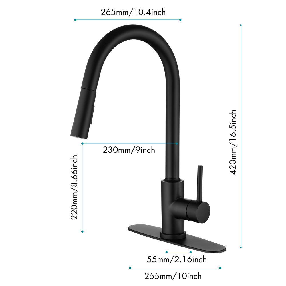 Spray & Splash Kitchen Faucet