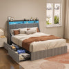 Elegant Grey Queen Bed Frame with LED & Storage Drawers