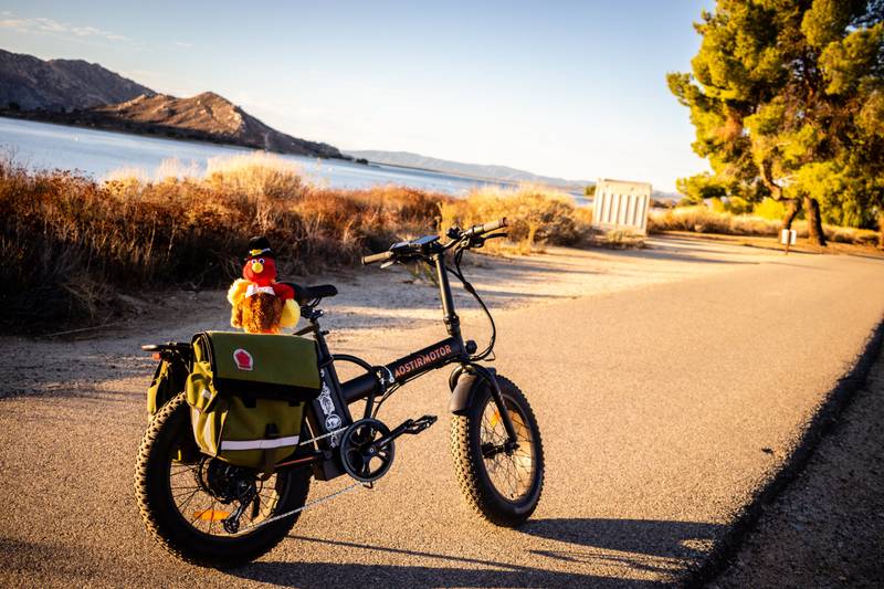 Adventure Folding E-Bike with Fat Tires