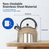 Whistling Stainless Steel Teakettle