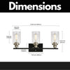 Chic Black 3-Light Vanity Lamp with Clear Glass Shades