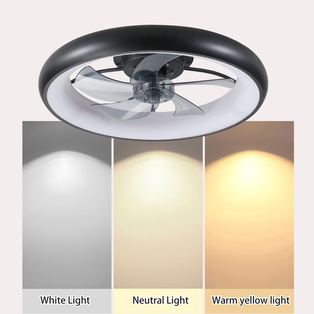 Light & Breeze Ceiling Fan