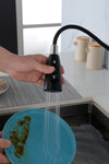 Matte Black Pull Down Kitchen Faucet