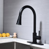 Swipe & Spray Kitchen Faucet