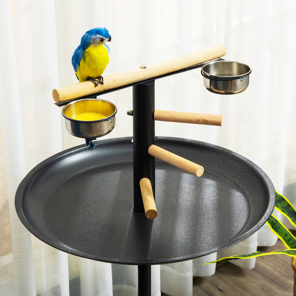 Birdie Play & Feed Stand