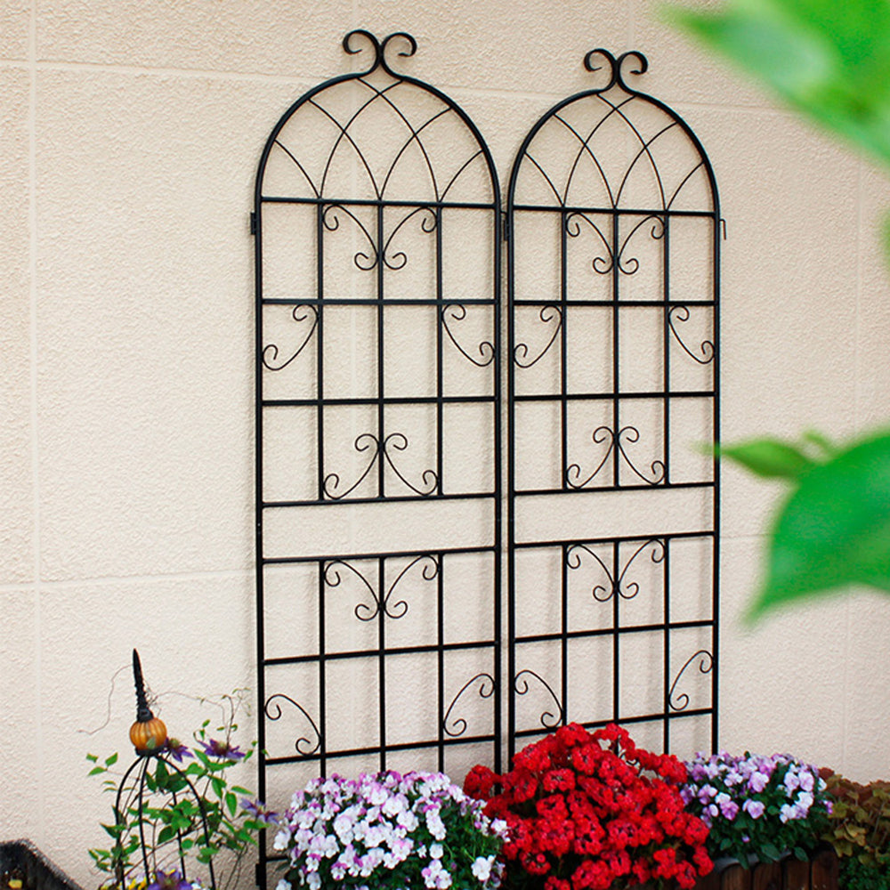 Climb & Shine Trellis Set