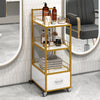 Stylish Salon Trolley with Wheels and Lock