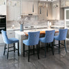 Chic Velvet Barstools with Button Tufting - Set of Two (Blue)