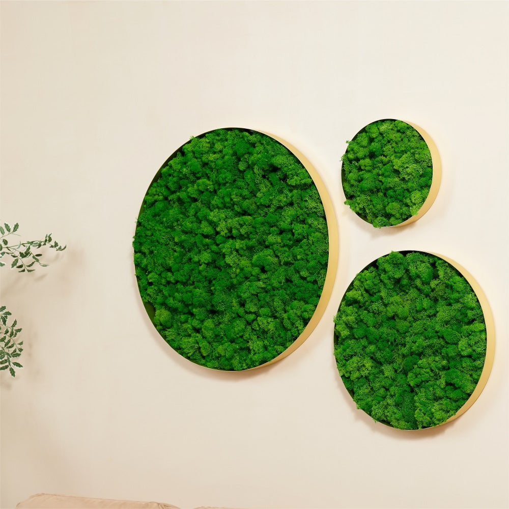 Chic Moss Wall Art - Small Frame Edition