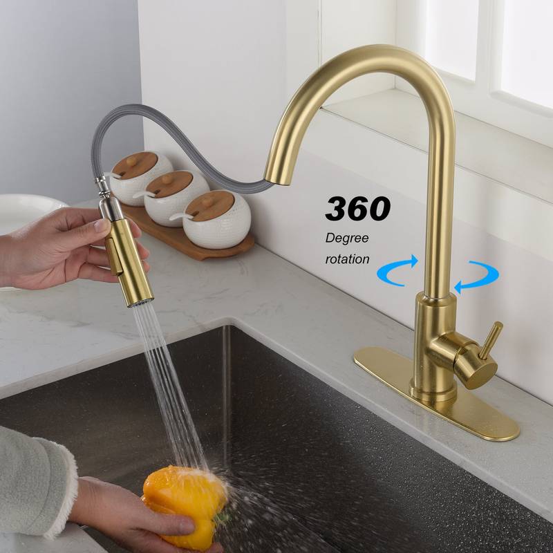 Spry Touch Kitchen Faucet