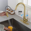 Spry Touch Kitchen Faucet