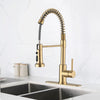 Golden Touch Kitchen Faucet with Pull Down Sprayer