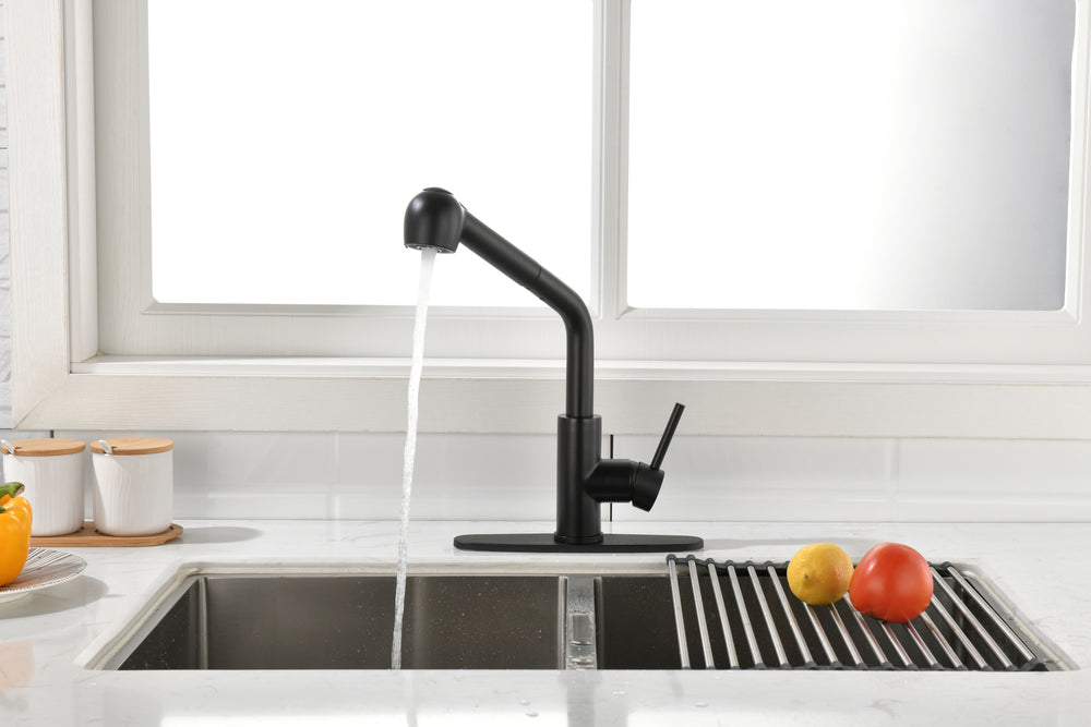 Sleek Black Pull-Down Kitchen Faucet