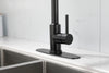 Spray & Splash Kitchen Faucet