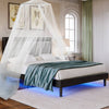 Luxurious Black Queen Bed with LED Lights and Wing-Back Headboard
