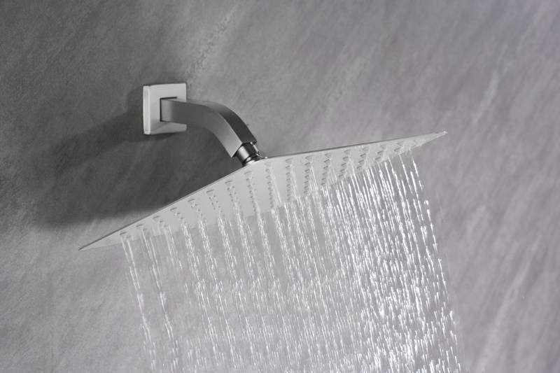 Revitalizing Rainfall Showerhead