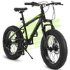 Adventure Kid Fat Tire Bike