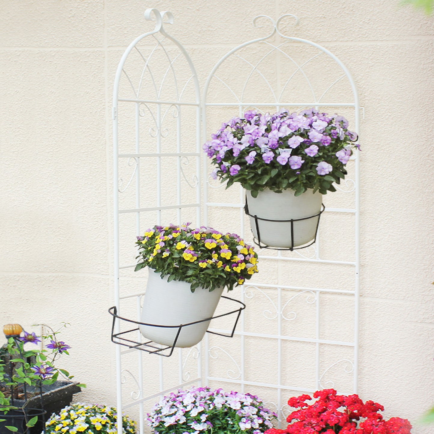 Charming Creamy Climbing Plant Trellis Set