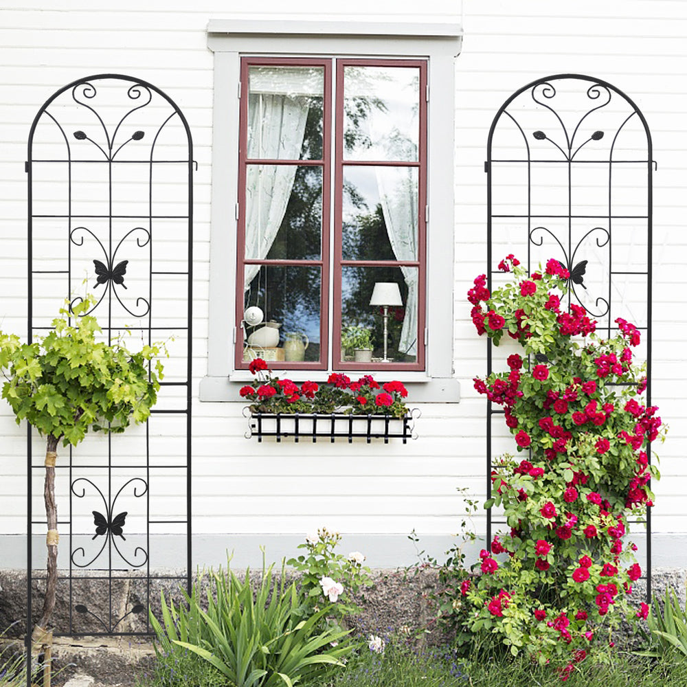 Garden Glory: Rustproof Climbing Plant Trellis Set