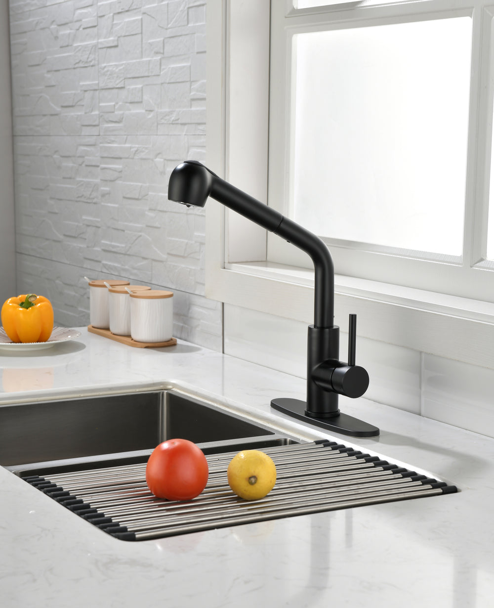 Sleek Black Pull-Down Kitchen Faucet