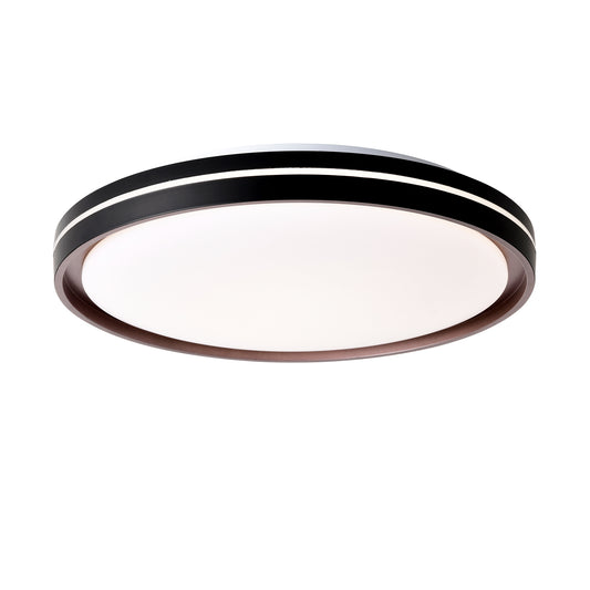 Versatile LED Ceiling Light – Dimmable & Color Changeable!