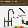 Elegant Pull-Down Kitchen Faucet with Double Handles