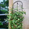 Stylish Rustproof Garden Trellis for Climbing Plants