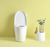 Eco-Friendly Comfort Toilet with Soft Close Seat