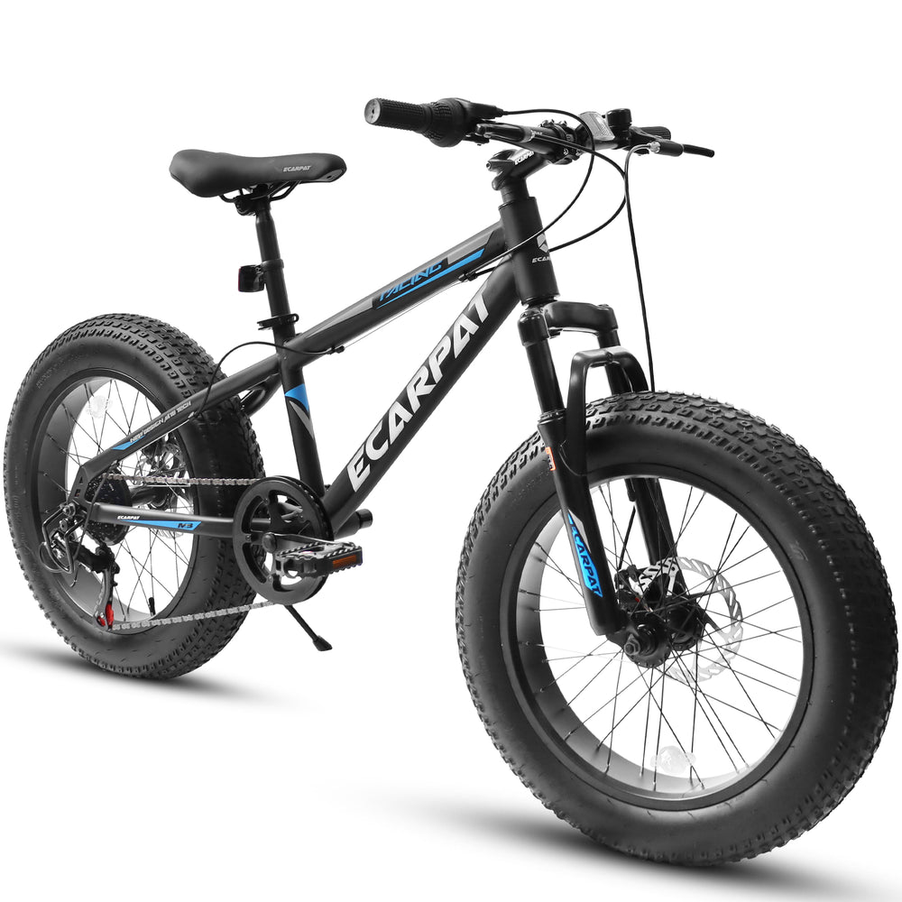 Adventure Cruiser Fat Tire Bike