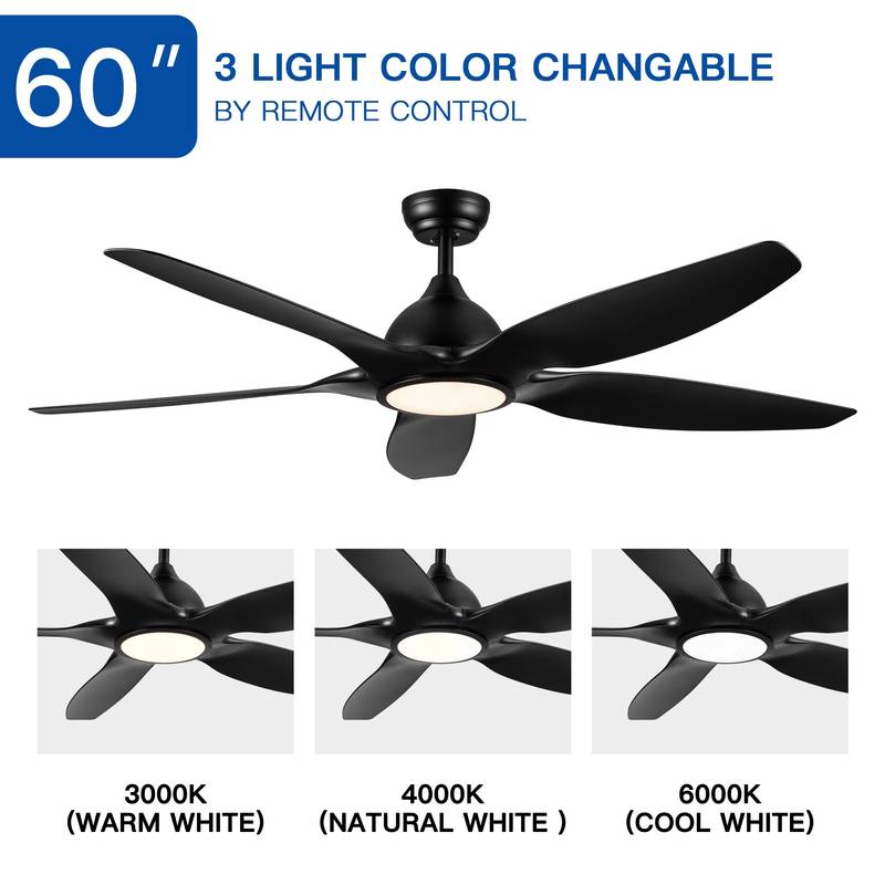 Sleek LED Ceiling Fan with Black Blades