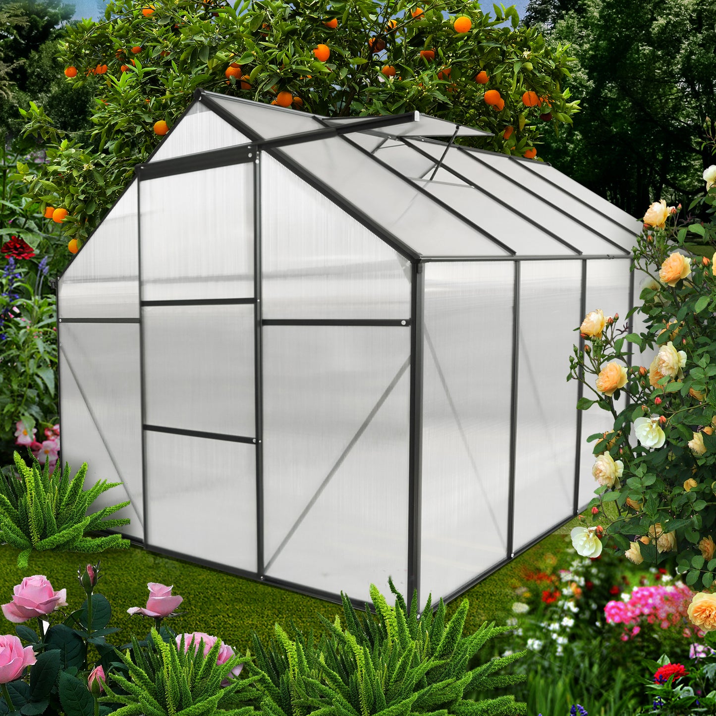 Backyard Oasis Greenhouse – Heavy-Duty Polycarbonate Haven