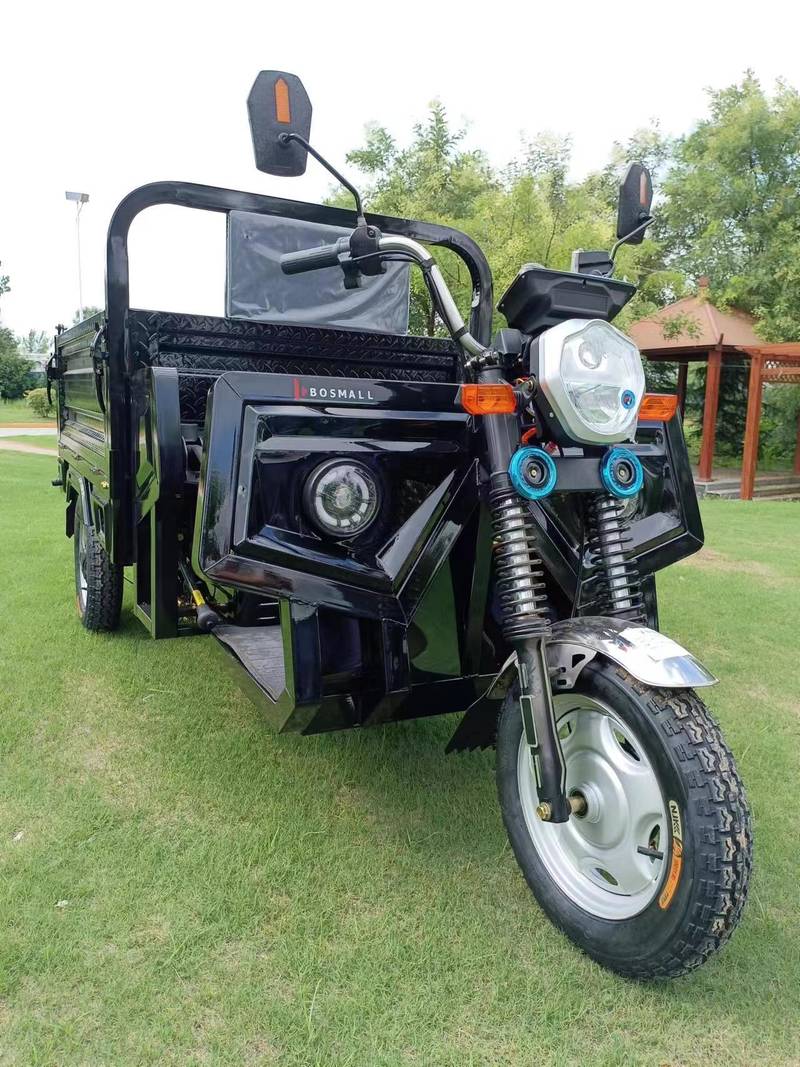 E-Z Ride Electric Trike
