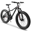 All-Terrain Fat Tire Mountain Bike