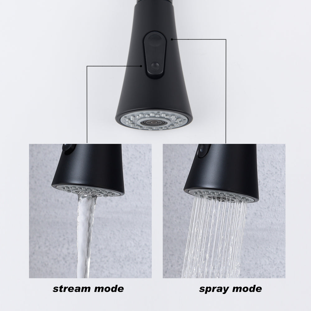 Swipe & Spray Kitchen Faucet