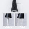 Swipe & Spray Kitchen Faucet